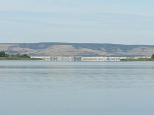P1050862.jpg