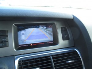 IMG_1284.jpg