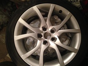 IMG_2621.jpg