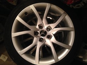 IMG_2623.jpg