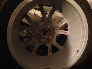 IMG_2626.jpg
