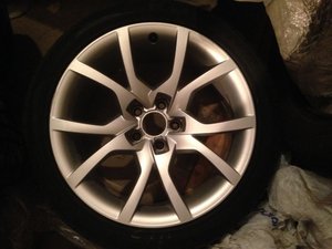 IMG_2627.jpg