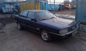 IMAG1198.jpg