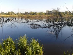 20130620_195909.jpg