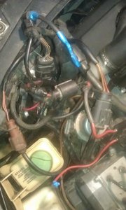 IMAG0742.jpg