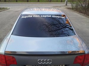 DTM.jpg