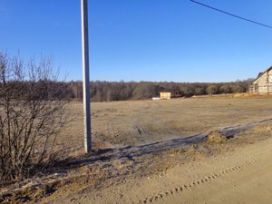 IMG_0405.JPG