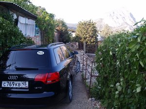 P1014078.jpg