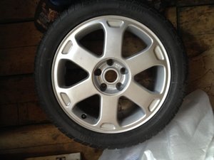 IMG_2928.jpg
