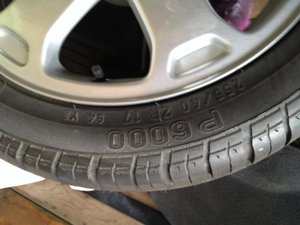 IMG_2932.jpg