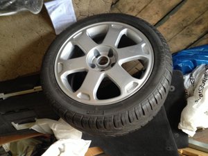 IMG_2934.jpg
