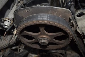 DSC_0419.jpg