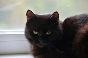 IMG_4223.JPG