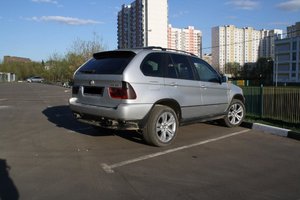 IMG_7737.jpg