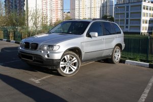IMG_7800.jpg