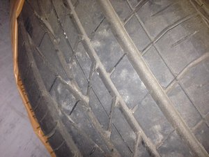 IMG_3921.jpg