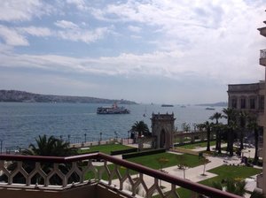 ImageUploadedByTapatalkHD1399410882.704197.jpg