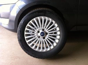 IMG_3388.jpg