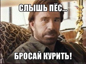 comics_chak-norris_orig_1339412455.jpg