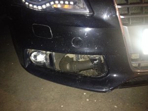 IMG_0428[1].jpg