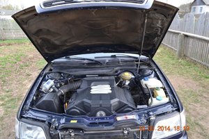 DSC_1159.jpg