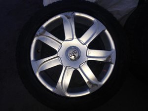 IMG_0905.jpg