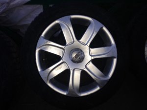 IMG_0906.jpg
