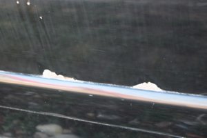 IMG_8577.JPG
