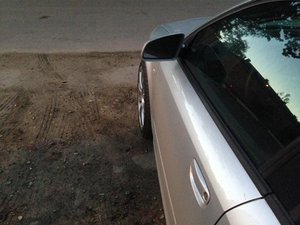 IMG_1338[1].jpg