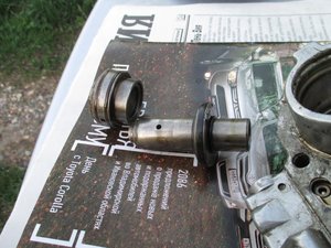 IMG_0124.jpg
