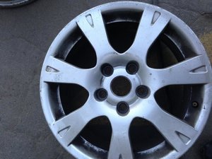 IMG_2599.jpg