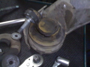 03112007113.jpg