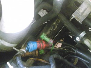 20140520_091556.jpg