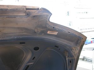 IMG_2916.jpg