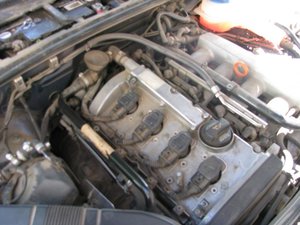 IMG_2928.jpg