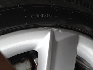 IMG_0777.jpg