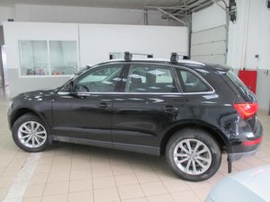 Q5_2TDI_094160_8.jpg