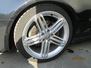 IMG_4571.jpg
