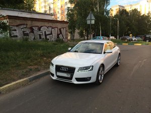 IMG_0932.jpg