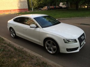 IMG_0937.jpg