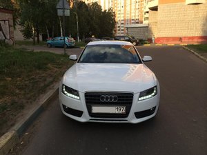 IMG_0938.jpg