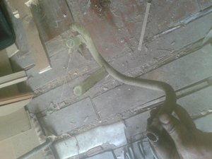 20140608_122041.jpg
