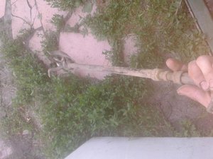 20140608_200859.jpg