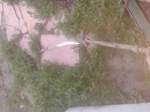 20140608_200903.jpg