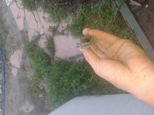 20140608_201013.jpg