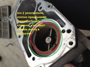 107599100.jpg