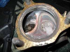 IMG_1762.jpg