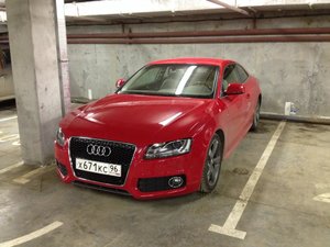 IMG_0177.jpg