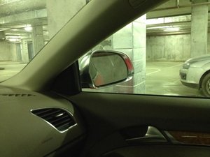 IMG_0222.jpg