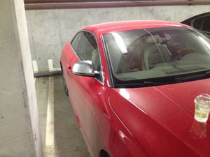 IMG_0224.jpg